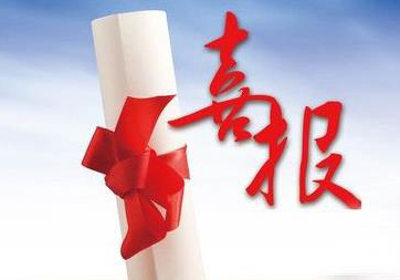 我公司中標(biāo)杏花營鎮(zhèn)一中心四平臺項目